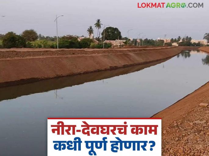 Strange management of the Water Resources Department; Water distribution system work continues even though there is no water storage in the dams | जलसंपदा विभागाचा अजब कारभार; धरणांत पाणीसाठा नसतानाही वितरण प्रणालीची कामे सुरू Strange management of the Water Resources Department; Water distribution system work continues even though there is no water storage in the dams | जलसंपदा विभागाचा अजब कारभार; धरणांत पाणीसाठा नसतानाही वितरण प्रणालीची कामे सुरू