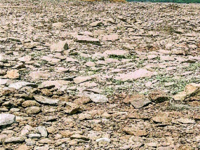 Neera river level decreases, result of slurry | नीरा नदीची पातळी घटली, वाळूउपशाचा परिणाम Neera river level decreases, result of slurry | नीरा नदीची पातळी घटली, वाळूउपशाचा परिणाम