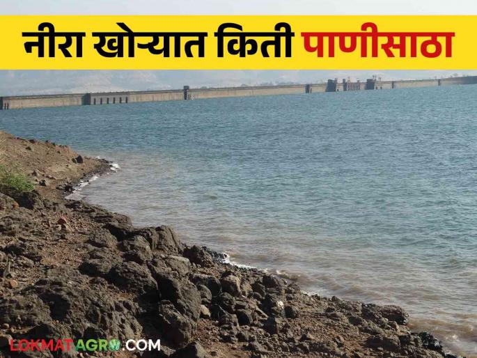 All the four dams in the Neera valley are above 50 percent | नीरा खोऱ्यातील चारही धरणे ५० टक्के पार All the four dams in the Neera valley are above 50 percent | नीरा खोऱ्यातील चारही धरणे ५० टक्के पार