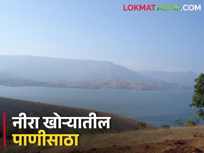 The water level of the dam in Neera valley has decreased | नीरा खोऱ्यातील धरणांची पाणी पातळी खालावली The water level of the dam in Neera valley has decreased | नीरा खोऱ्यातील धरणांची पाणी पातळी खालावली