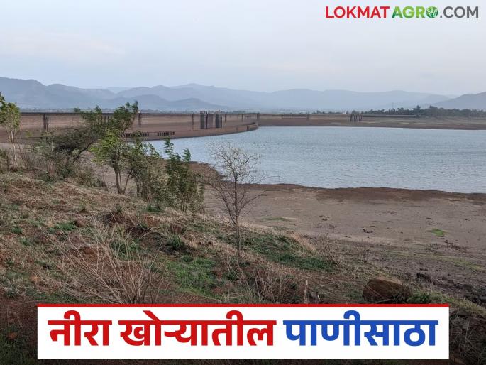 How much water is left in Bhatghar, Nira Deoghar, Gunjawani and Veer dams in the Nira Valley? read in details | नीरा खोऱ्यातील भाटघर, नीरा देवघर, गुंजवणी व वीर धरणात उरला किती पाणीसाठा? वाचा सविस्तर How much water is left in Bhatghar, Nira Deoghar, Gunjawani and Veer dams in the Nira Valley? read in details | नीरा खोऱ्यातील भाटघर, नीरा देवघर, गुंजवणी व वीर धरणात उरला किती पाणीसाठा? वाचा सविस्तर
