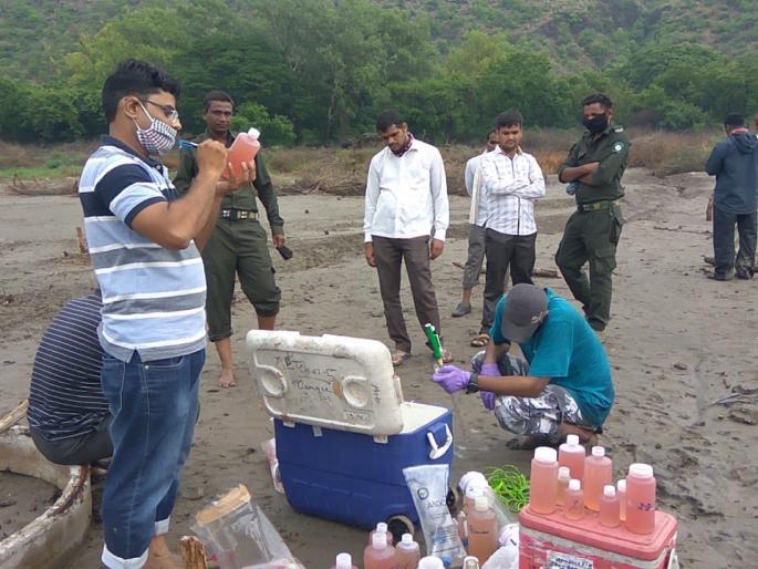 Neeri researchers took water samples from six places in Lonar Lake | नीरीच्या संशोधकांनी घेतले लोणार सरोवरातील सहा ठिकाणचे पाण्याचे नमुने Neeri researchers took water samples from six places in Lonar Lake | नीरीच्या संशोधकांनी घेतले लोणार सरोवरातील सहा ठिकाणचे पाण्याचे नमुने