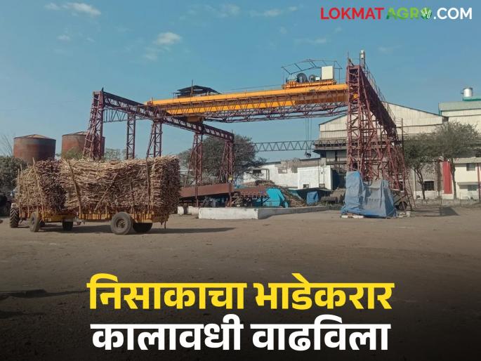 Latest news niphad sakhar karkhana period of niphad sugar factory in Nashik district was extended | नाशिक जिल्ह्यातील 'या' कारखान्याचा कालावधी वाढविला, मात्र शासनाने 'ही' अट घातली!