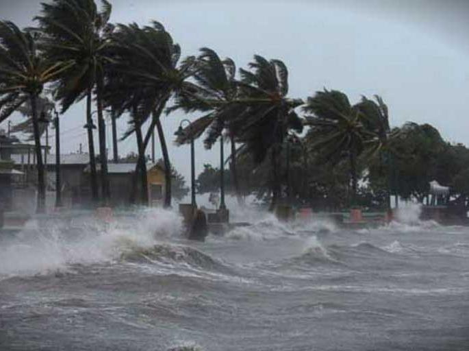 loss in raigad due to Cyclone Nisarga | Cyclone Nisarga: ‘निसर्ग’पुढे सारे नमले... loss in raigad due to Cyclone Nisarga | Cyclone Nisarga: ‘निसर्ग’पुढे सारे नमले...