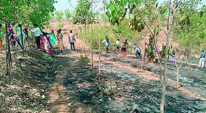 3,000 trees were burnt in oxygen park fire in wardha | वर्धेच्या निसर्ग हिल परिसरात आगडोंब; ३ हजार झाडं जळाली 3,000 trees were burnt in oxygen park fire in wardha | वर्धेच्या निसर्ग हिल परिसरात आगडोंब; ३ हजार झाडं जळाली