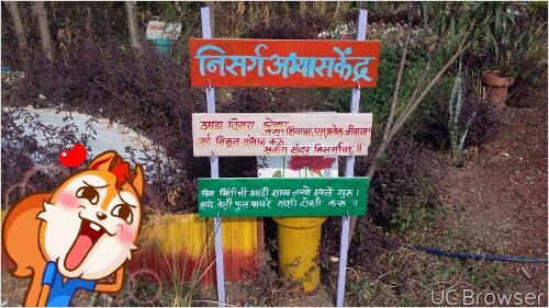 Education and education from school-college! | शाळा-महाविद्यालयातून हवे निसर्ग शिक्षण !