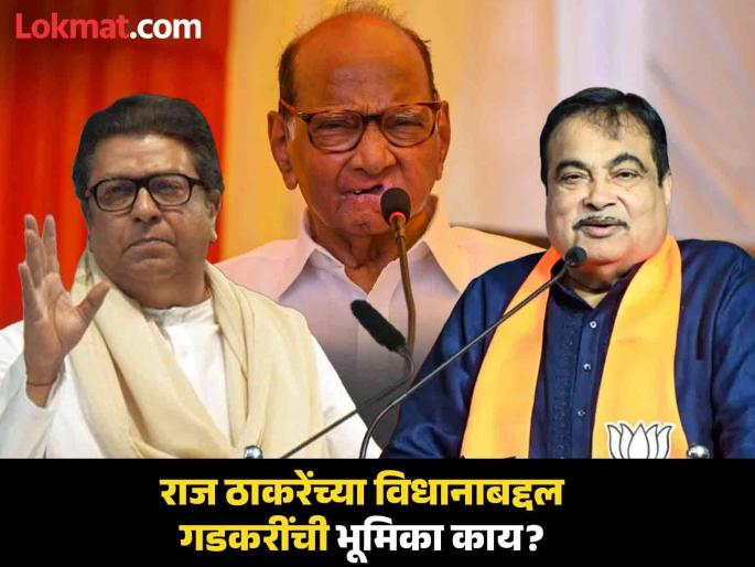 It is unfair to say that Sharad Pawar spoiled the politics of Maharashtra, said Nitin Gadkari on Raj Thackeray's statement | 'शरद पवारांमुळे राजकारणाचा विचका', राज ठाकरेंचं म्हणणं मान्य आहे का? नितीन गडकरी म्हणाले... It is unfair to say that Sharad Pawar spoiled the politics of Maharashtra, said Nitin Gadkari on Raj Thackeray's statement | 'शरद पवारांमुळे राजकारणाचा विचका', राज ठाकरेंचं म्हणणं मान्य आहे का? नितीन गडकरी म्हणाले...