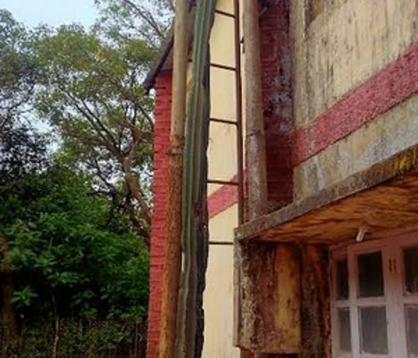 Nivdung in Mahabaleshwar recorded in Limca Book collapsed | लिम्का बुक मध्ये नोंद झालेला महाबळेश्वरमधील 'तो' निवडूंग कोसळला Nivdung in Mahabaleshwar recorded in Limca Book collapsed | लिम्का बुक मध्ये नोंद झालेला महाबळेश्वरमधील 'तो' निवडूंग कोसळला