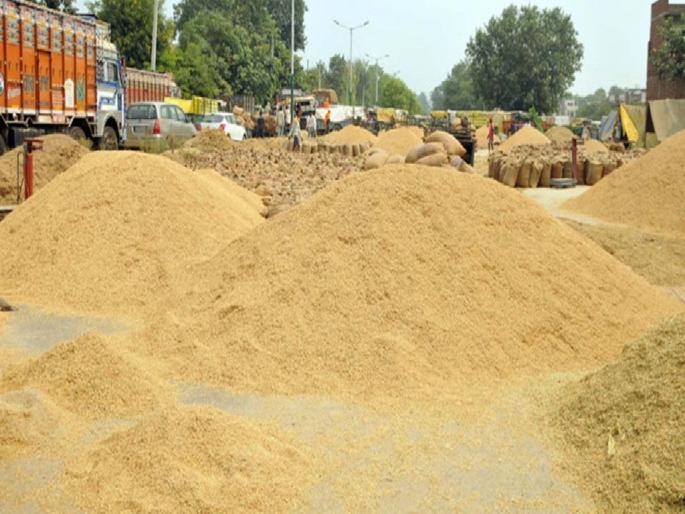 marketing officer suspended for negligence in paddy scam in bhandara | धान घोटाळ्यात कारवाईची दिरंगाई भोवली; जिल्हा पणन अधिकारी निलंबित marketing officer suspended for negligence in paddy scam in bhandara | धान घोटाळ्यात कारवाईची दिरंगाई भोवली; जिल्हा पणन अधिकारी निलंबित