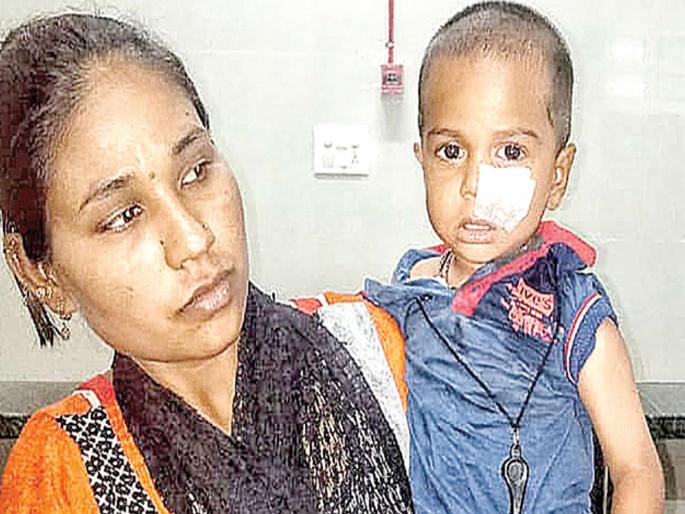 Eight dogs bite at Panvel; Terror of stray dogs again | पनवेलमध्ये कुत्र्याचा आठ जणांना चावा; भटक्या कुत्र्यांची पुन्हा दहशत Eight dogs bite at Panvel; Terror of stray dogs again | पनवेलमध्ये कुत्र्याचा आठ जणांना चावा; भटक्या कुत्र्यांची पुन्हा दहशत