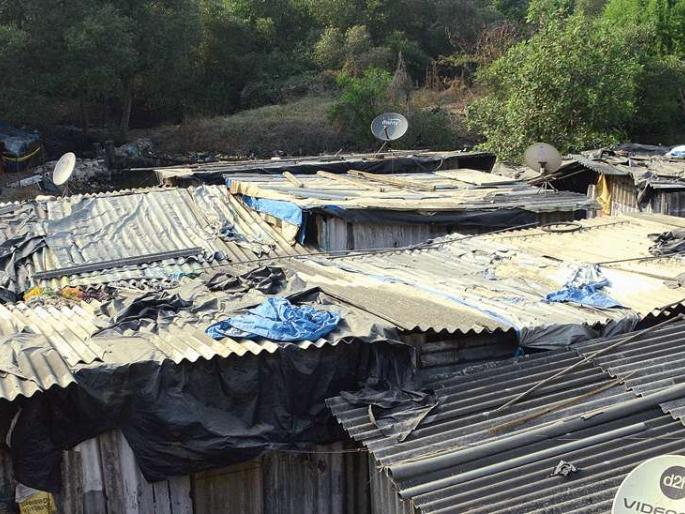 Unauthorized huts in the Koparkheran Bay area; Forest department neglect with the municipality | कोपरखैरणे खाडी परिसरात अनधिकृत झोपड्यांचे पेव; महापालिकेसह वनविभागाचे दुर्लक्ष