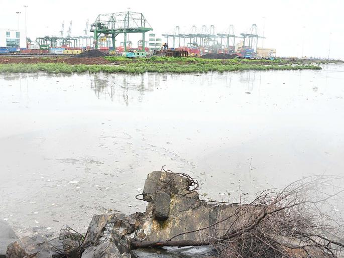 Fill thousands of hectares in the name of development | विकासाच्या नावे हजारो हेक्टरवर भराव