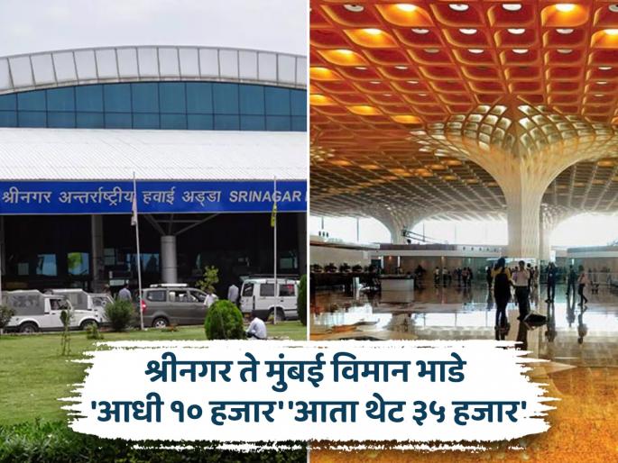 Take action against airlines that increase ticket prices Stop looting immediately demands consumer panchayat | तिकिटाचे दर वाढवणाऱ्या विमान कंपन्यांवर कारवाई करा! लूटमार त्वरित थांबवा, ग्राहक पंचायतीची मागणी Take action against airlines that increase ticket prices Stop looting immediately demands consumer panchayat | तिकिटाचे दर वाढवणाऱ्या विमान कंपन्यांवर कारवाई करा! लूटमार त्वरित थांबवा, ग्राहक पंचायतीची मागणी