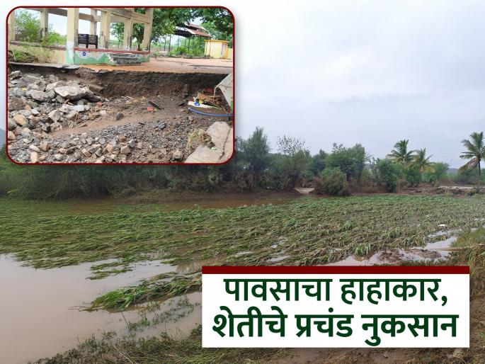 Everything changed in 3 hours; Cloudburst-like rain in Bhigwan, damage to crops, animals also killed | ३ तासात होत्याचं नव्हतं झालं; भिगवणला ढगफुटी सदृश पाऊस , शेतीचे नुकसान, पशुही दगावले Everything changed in 3 hours; Cloudburst-like rain in Bhigwan, damage to crops, animals also killed | ३ तासात होत्याचं नव्हतं झालं; भिगवणला ढगफुटी सदृश पाऊस , शेतीचे नुकसान, पशुही दगावले