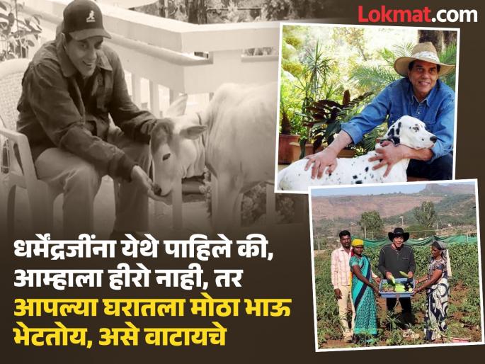 The farmhouse near Lonavala is Dharmendra's second home; a place of peace of mind, a place for lively chats with the villagers | लोणावळ्याजवळचे फार्म हाऊस म्हणजे धर्मेंद्र यांचे दुसरे घरच; मन:शांतीचे ठिकाण, ग्रामस्थांसोबत रंगत गप्पांचे फड