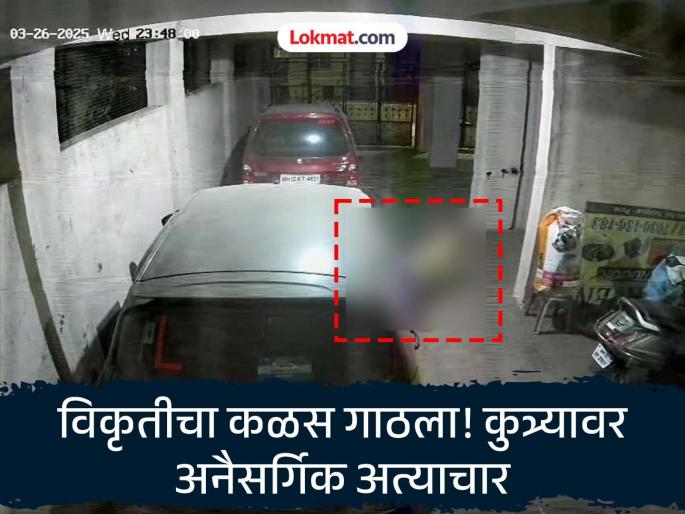 A man who is obsessed with lust and abuses a dog What is really happening in Pune? | हद्द झाली! वासनांध नराधमाचा कुत्र्यावर अत्याचार! पुण्यात नेमकं घडतंय काय? A man who is obsessed with lust and abuses a dog What is really happening in Pune? | हद्द झाली! वासनांध नराधमाचा कुत्र्यावर अत्याचार! पुण्यात नेमकं घडतंय काय?