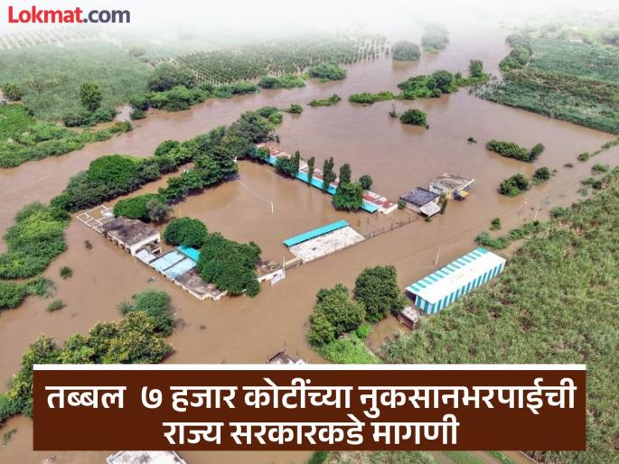Worrying news! Heavy rains in September hit 83 lakh farmers in Maharashtra | चिंताजनक बातमी! महाराष्ट्रात सप्टेंबरच्या अतिवृष्टीचा तडाखा तब्बल ८३ लाख शेतकऱ्यांना बसला