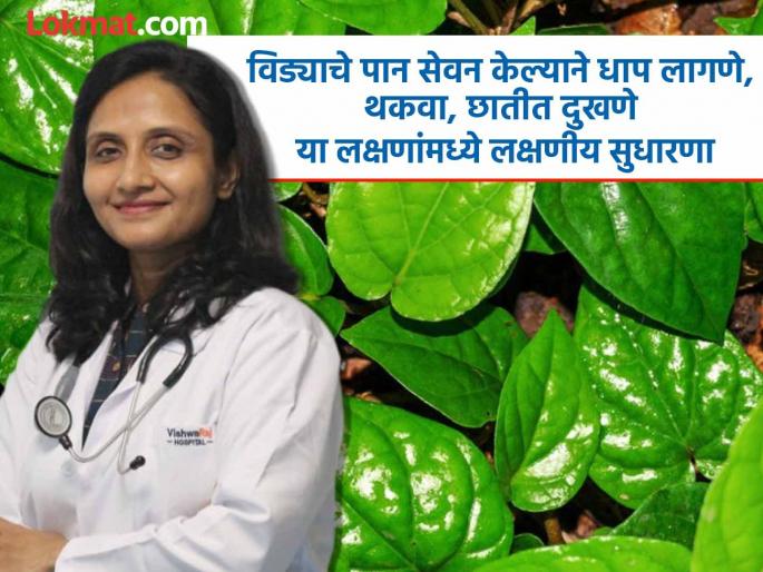 Vida leaves significantly increase heart efficiency Research in Pune reveals this | विड्याच्या पानांनी हृदयाच्या कार्यक्षमतेत लक्षणीय वाढ; पुण्यातील संशोधनात समोर आली बाब Vida leaves significantly increase heart efficiency Research in Pune reveals this | विड्याच्या पानांनी हृदयाच्या कार्यक्षमतेत लक्षणीय वाढ; पुण्यातील संशोधनात समोर आली बाब