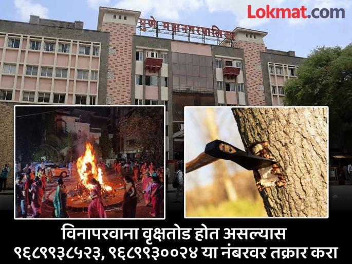 Pune Municipal Corporation warns of fine of Rs 1 lakh for cutting down trees for Holi | होळीसाठी झाडे तोडल्यास एक लाखाचा दंड; पुणे महापालिकेचा इशारा Pune Municipal Corporation warns of fine of Rs 1 lakh for cutting down trees for Holi | होळीसाठी झाडे तोडल्यास एक लाखाचा दंड; पुणे महापालिकेचा इशारा