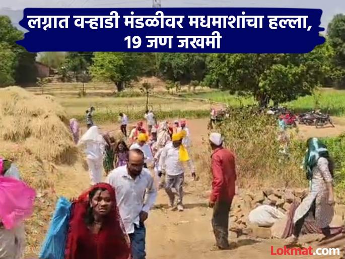 Stones were thrown at a tree to cut down the bride Bee attacked the wedding party incident in Junnar | कैऱ्या पाडण्यासाठी झाडाला दगड मारला; वऱ्हाडी मंडळीवर मधमाशांनी हल्ला केला, जुन्नरमधील घटना Stones were thrown at a tree to cut down the bride Bee attacked the wedding party incident in Junnar | कैऱ्या पाडण्यासाठी झाडाला दगड मारला; वऱ्हाडी मंडळीवर मधमाशांनी हल्ला केला, जुन्नरमधील घटना