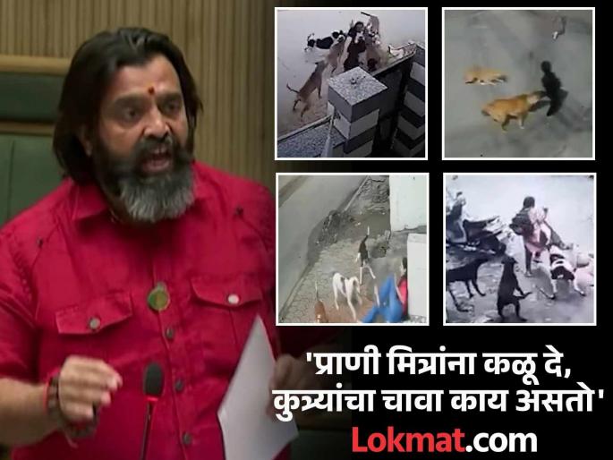 They love dogs! But not humans, leave all the dogs in the homes of these animal friends - Mahesh Landage | त्यांचे कुत्र्यांवर प्रेम! पण माणसांवर नाही, सगळ्या कुत्र्यांना या प्राणी मित्रांच्या घरी सोडा - महेश लांडगे They love dogs! But not humans, leave all the dogs in the homes of these animal friends - Mahesh Landage | त्यांचे कुत्र्यांवर प्रेम! पण माणसांवर नाही, सगळ्या कुत्र्यांना या प्राणी मित्रांच्या घरी सोडा - महेश लांडगे