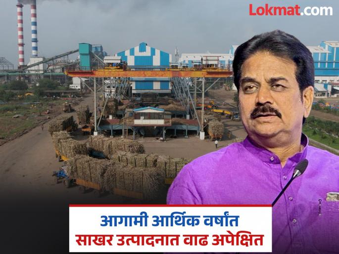 Sugar production in the country has decreased by 17 percent Production can be increased with the help of AI, says Harshvardhan Patil | साखर उत्पादनात १७ टक्क्यांनी घट; एआयच्या मदतीने उत्पादन वाढवता येईल, हर्षवर्धन पाटलांची माहिती Sugar production in the country has decreased by 17 percent Production can be increased with the help of AI, says Harshvardhan Patil | साखर उत्पादनात १७ टक्क्यांनी घट; एआयच्या मदतीने उत्पादन वाढवता येईल, हर्षवर्धन पाटलांची माहिती