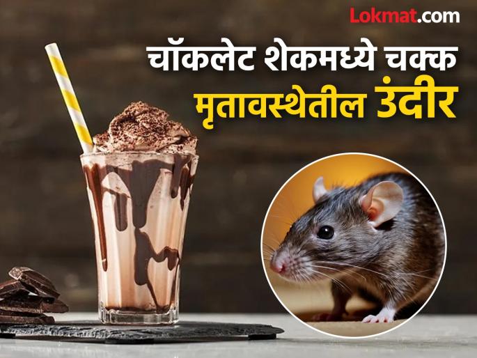 Shocking incident Dead rat found in chocolate shake ordered for home delivery, case filed against cafe owner | धक्कादायक घटना! घरपोच मागवलेल्या चाॅकलेट शेकमध्ये मृतावस्थेतील उंदीर, कॅफे मालकाविरुद्ध गुन्हा Shocking incident Dead rat found in chocolate shake ordered for home delivery, case filed against cafe owner | धक्कादायक घटना! घरपोच मागवलेल्या चाॅकलेट शेकमध्ये मृतावस्थेतील उंदीर, कॅफे मालकाविरुद्ध गुन्हा