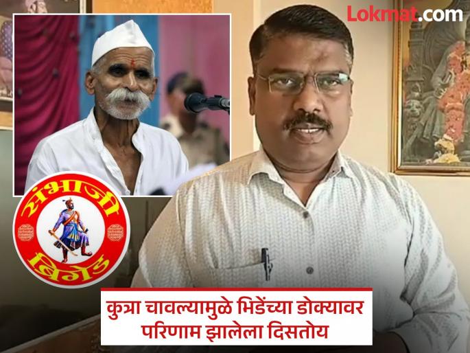 Put Sambhaji Bhide in a mental hospital we are ready to pay the expenses Sambhaji Brigade | संभाजी भिडेंना मेंटल हॉस्पिटलमध्ये टाका, खर्च आम्ही करायला तयार आहोत - संभाजी ब्रिगेड Put Sambhaji Bhide in a mental hospital we are ready to pay the expenses Sambhaji Brigade | संभाजी भिडेंना मेंटल हॉस्पिटलमध्ये टाका, खर्च आम्ही करायला तयार आहोत - संभाजी ब्रिगेड