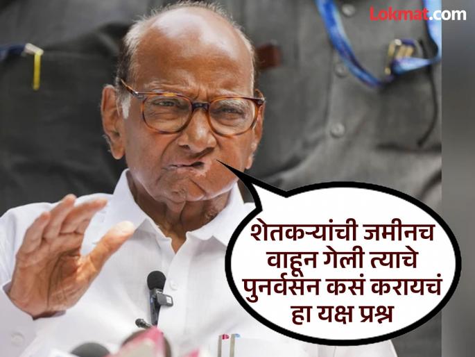 Farmers need urgent help; Government should take concrete steps as soon as possible - Sharad Pawar | शेतकऱ्यांना त्वरीत मदतीची आवश्यकता; सरकारने लवकरात लवकर ठोस पावले उचलावीत - शरद पवार
