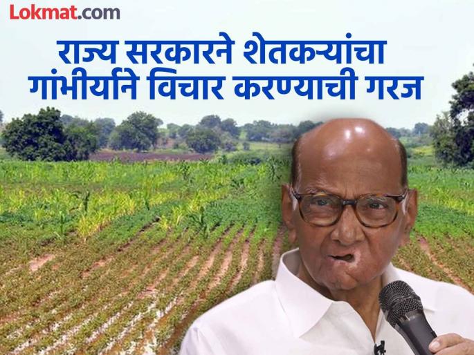 In an unprecedented situation urgent help along with permanent help is needed; otherwise, agriculture will face major problems - Sharad Pawar | अभूतपूर्व परिस्थितीत तातडीच्या मदतीसह कायमस्वरुपी मदतीची गरज; अन्यथा शेती मोठ्या समस्येत - शरद पवार In an unprecedented situation urgent help along with permanent help is needed; otherwise, agriculture will face major problems - Sharad Pawar | अभूतपूर्व परिस्थितीत तातडीच्या मदतीसह कायमस्वरुपी मदतीची गरज; अन्यथा शेती मोठ्या समस्येत - शरद पवार