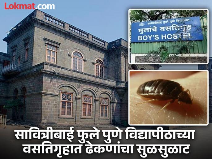 Someone is hiding in a shoe someone is sitting in a pocket Mosquitoes have covered the hostel and the bed has been blown away students are worried in savitribai phule pune university | कुणी बुटात लपलंय, कुणी खिशात बसलंय! ढेकणांनी हाॅस्टेल व्यापून टाकलं अन् उडाली झाेप; विद्यार्थी त्रस्त Someone is hiding in a shoe someone is sitting in a pocket Mosquitoes have covered the hostel and the bed has been blown away students are worried in savitribai phule pune university | कुणी बुटात लपलंय, कुणी खिशात बसलंय! ढेकणांनी हाॅस्टेल व्यापून टाकलं अन् उडाली झाेप; विद्यार्थी त्रस्त