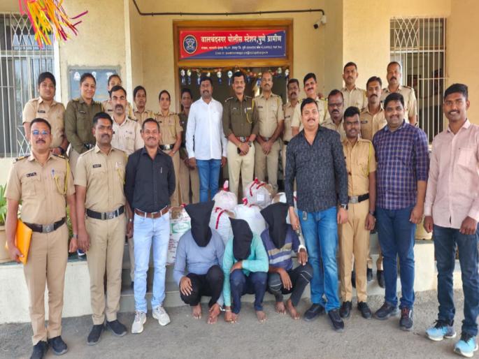 100 kg of ganja seized in Indapur; A big racket regarding smuggling is likely to be exposed | इंदापुरात तब्बल १०० किलो गांजा पकडला; तस्करीबाबत मोठं रॅकेट उघडकीस येण्याची शक्यता