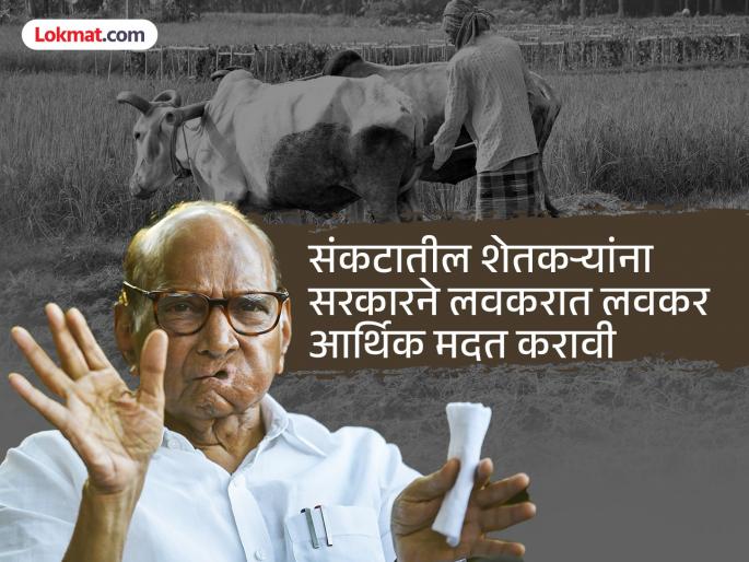 Farmers get Rs 5, Rs 3, Rs 2 in aid; Insurance policy wrong, Sharad Pawar unhappy | शेतकऱ्यांना पाच रुपये, तीन रुपये, दोन रुपये इतकी मदत; विमा धोरण चुकीचे, शरद पवारांची नाराजी Farmers get Rs 5, Rs 3, Rs 2 in aid; Insurance policy wrong, Sharad Pawar unhappy | शेतकऱ्यांना पाच रुपये, तीन रुपये, दोन रुपये इतकी मदत; विमा धोरण चुकीचे, शरद पवारांची नाराजी