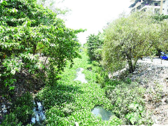 The main canals in the shoulder colony are also waiting for cleaning | खांदा वसाहतीतील मुख्य नालेही सफाईच्या प्रतीक्षेत  The main canals in the shoulder colony are also waiting for cleaning | खांदा वसाहतीतील मुख्य नालेही सफाईच्या प्रतीक्षेत