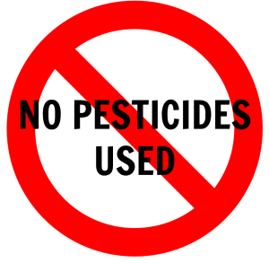 Farmers of Kamargaon took oath of poisonous farming! | कामरगाव परिसरातील शेतकऱ्यांनी घेतली विषमुक्त शेती करण्याची शपथ ! Farmers of Kamargaon took oath of poisonous farming! | कामरगाव परिसरातील शेतकऱ्यांनी घेतली विषमुक्त शेती करण्याची शपथ !