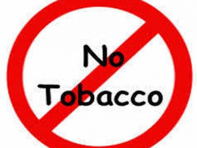 Tobacco inspectors now in schools for tobacco cessation! | तंबाखूमुक्तीसाठी शाळांमध्ये आता तंबाखू निरिक्षक ! Tobacco inspectors now in schools for tobacco cessation! | तंबाखूमुक्तीसाठी शाळांमध्ये आता तंबाखू निरिक्षक !