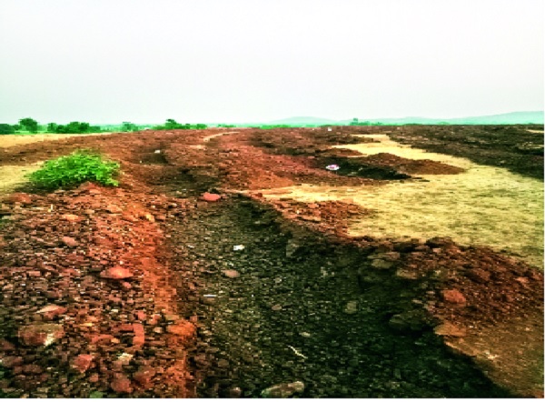 Planting of trees, money and spirit; - Pictures of Hatkanangale taluka | झाडे लावा पैसे जिरवा प्रवृत्ती बोकाळली-:हातकणंगले तालुक्यातील चित्र Planting of trees, money and spirit; - Pictures of Hatkanangale taluka | झाडे लावा पैसे जिरवा प्रवृत्ती बोकाळली-:हातकणंगले तालुक्यातील चित्र