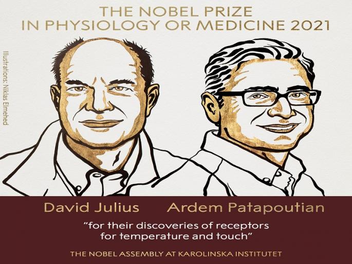 Nobel Prize 2021: David Julius and Ardem Patapautian awarded the Nobel Prize in Medicine | Nobel Prize 2021: डेविड जूलियस आणि अर्देम पटापाउटियन यांना वैद्यकशास्त्रातील नोबेल जाहीर Nobel Prize 2021: David Julius and Ardem Patapautian awarded the Nobel Prize in Medicine | Nobel Prize 2021: डेविड जूलियस आणि अर्देम पटापाउटियन यांना वैद्यकशास्त्रातील नोबेल जाहीर