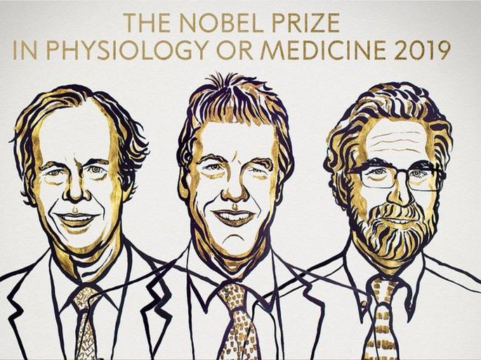 Trio Wins Nobel Prize In Physiology Or Medicine For Work On Cell Metabolism | शरीरशास्त्रातील नोबेल पुरस्कार जाहीर; तीन शास्त्रज्ञांच्या नावाची घोषणा Trio Wins Nobel Prize In Physiology Or Medicine For Work On Cell Metabolism | शरीरशास्त्रातील नोबेल पुरस्कार जाहीर; तीन शास्त्रज्ञांच्या नावाची घोषणा