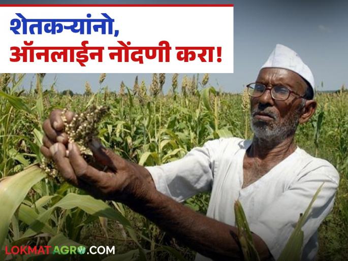 Latest News Shet Mal Kharedi Register farmers online for guaranteed price purchase, here is the process | Shet Mal Kharedi : हमीभाव खरेदीसाठी शेतकऱ्यांची ऑनलाईन नोंदणी करा, अशी आहे प्रक्रिया  Latest News Shet Mal Kharedi Register farmers online for guaranteed price purchase, here is the process | Shet Mal Kharedi : हमीभाव खरेदीसाठी शेतकऱ्यांची ऑनलाईन नोंदणी करा, अशी आहे प्रक्रिया