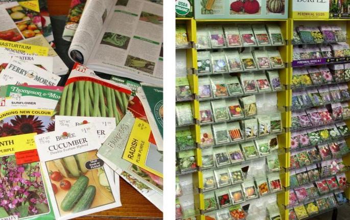 Notice to more than 300 seed sellers in Akola district! | अकोला जिल्ह्यात ३०० पेक्षा जास्त बियाणे विक्रेत्यांना नोटीस!