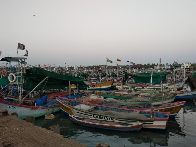 Boats are still closed due to lack of sailors, sailors from other provinces are missing | खलाशांअभावी अजून नौका बंदच, परप्रांतातील खलाशी बेपत्ताच Boats are still closed due to lack of sailors, sailors from other provinces are missing | खलाशांअभावी अजून नौका बंदच, परप्रांतातील खलाशी बेपत्ताच