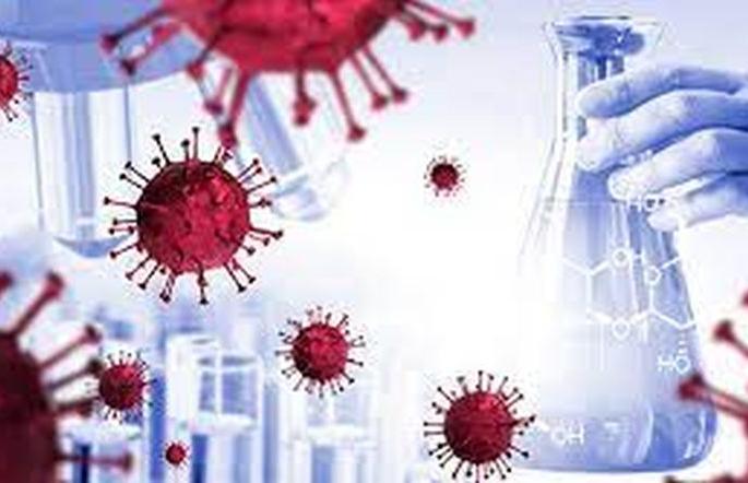 Corona is growing among children and seniors due to youth | तरुणांमुळेच मुले, ज्येष्ठांमध्ये वाढतोय कोरोना Corona is growing among children and seniors due to youth | तरुणांमुळेच मुले, ज्येष्ठांमध्ये वाढतोय कोरोना