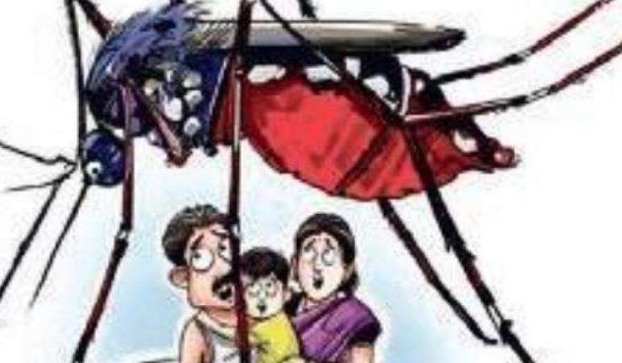 Corona fades, now dengue, malaria threat! | कोरोनाची साथ ओसरली, आता डेंग्यू, मलेरियाचा धोका! Corona fades, now dengue, malaria threat! | कोरोनाची साथ ओसरली, आता डेंग्यू, मलेरियाचा धोका!