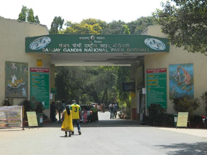 Students throw 'Seed Bomb' in Sanjay Gandhi National Park | ग्रीन स्ट्राइक! नॅशनल पार्कमध्ये फेकले गेले 10 हजार सीडबॉम्ब  Students throw 'Seed Bomb' in Sanjay Gandhi National Park | ग्रीन स्ट्राइक! नॅशनल पार्कमध्ये फेकले गेले 10 हजार सीडबॉम्ब