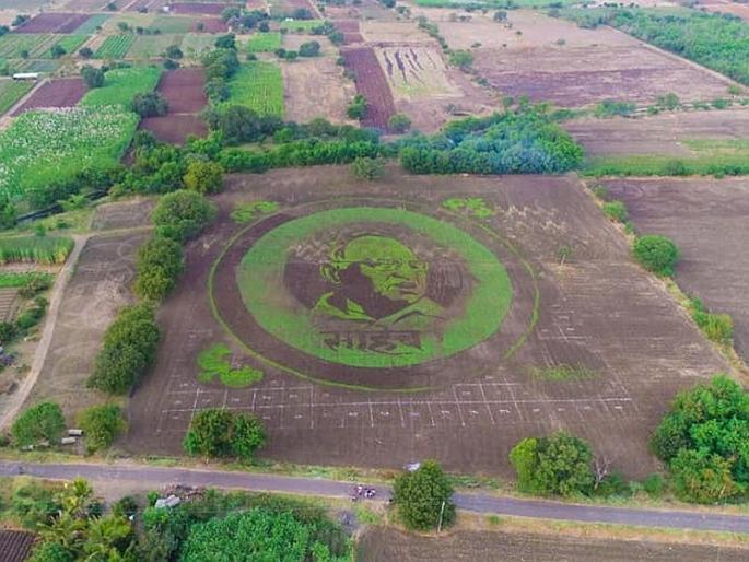 Sharad Pawar's image on 4.5 acres farm in kalamb, farmer gift to birthday of sharad pawar | शेतकऱ्याचा नादच खुळा, 4.5 एकरात साकारली शरद पवारांची प्रतिमा