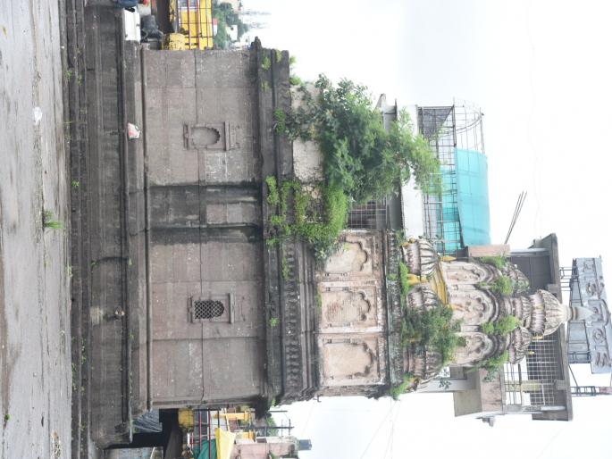 City smart, shrubs on temples! | शहर स्मार्ट, मंदिरांवर झुडपे! City smart, shrubs on temples! | शहर स्मार्ट, मंदिरांवर झुडपे!