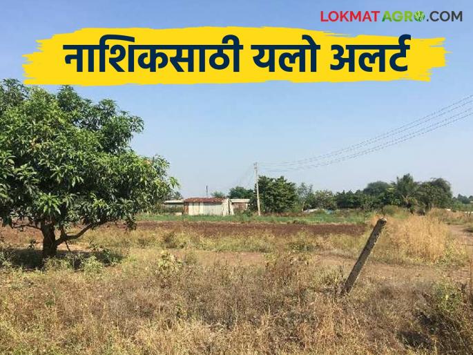 Latest News Nashik rain Yellow alert for Nashik district, possibility of rain for the next four days, read in detail | Nashik Rain : नाशिक जिल्ह्याला यलो अलर्ट, पुढील चार दिवस पावसाची शक्यता, वाचा सविस्तर  Latest News Nashik rain Yellow alert for Nashik district, possibility of rain for the next four days, read in detail | Nashik Rain : नाशिक जिल्ह्याला यलो अलर्ट, पुढील चार दिवस पावसाची शक्यता, वाचा सविस्तर