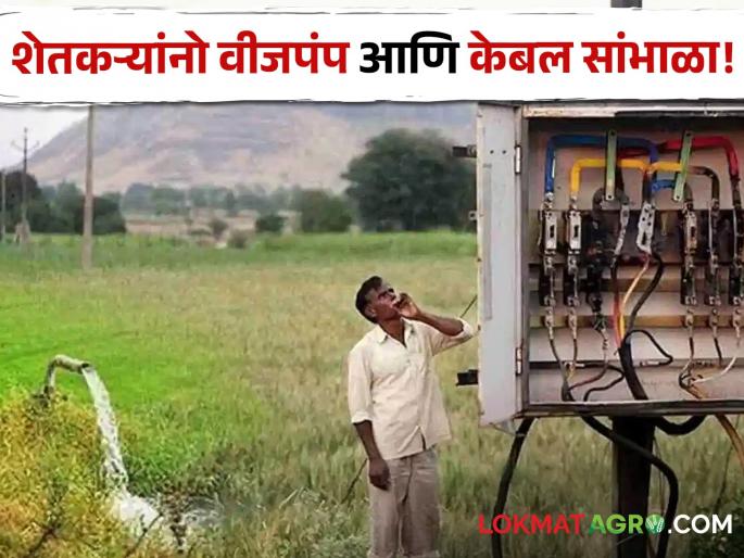 Latest News Stealth of thieves, farmers take care of power pump and cable | खरीप हंगाम तोंडावर, चोरांचा सुळसुळाट, शेतकऱ्यांनो वीजपंप आणि केबल सांभाळा!   Latest News Stealth of thieves, farmers take care of power pump and cable | खरीप हंगाम तोंडावर, चोरांचा सुळसुळाट, शेतकऱ्यांनो वीजपंप आणि केबल सांभाळा!