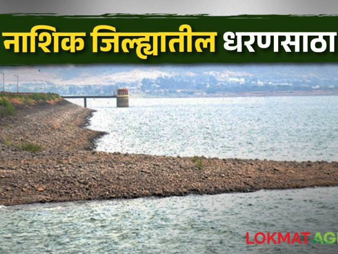 Latest News Todays Nashik district Dam Storage check details water scarcity | Dam Storage : नाशिक जिल्ह्यातील तीन धरणे शून्यावर, वाचा उर्वरित धरणांत किती पाणी? Latest News Todays Nashik district Dam Storage check details water scarcity | Dam Storage : नाशिक जिल्ह्यातील तीन धरणे शून्यावर, वाचा उर्वरित धरणांत किती पाणी?